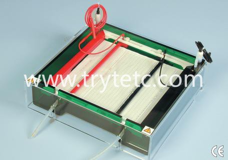 TR-TC-SYS Gel electrophoresis of isoelectrofocusing (IEF)