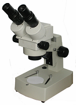 TR- TZ-T Multi-viewing microscope